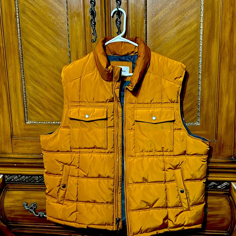 Goodfellow & Co puffer vest.  Worn once